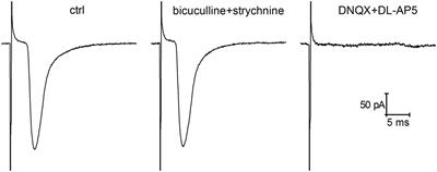 Insulin modulates the paired-pulse plasticity at glutamatergic synapses of hippocampal neurons under hypoinsulinemia